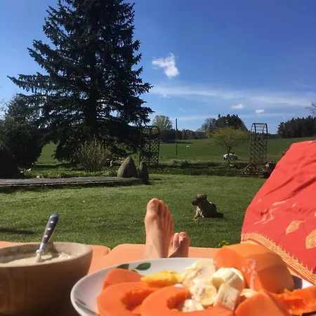 Mit Terrasse Und Garten Ober-Lembach