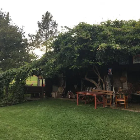 Mit Terrasse Und Garten