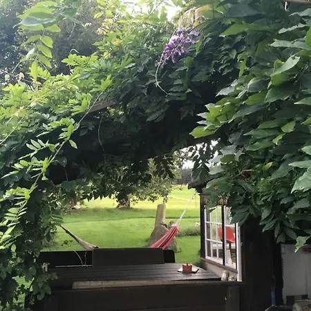 Mit Terrasse Und Garten *