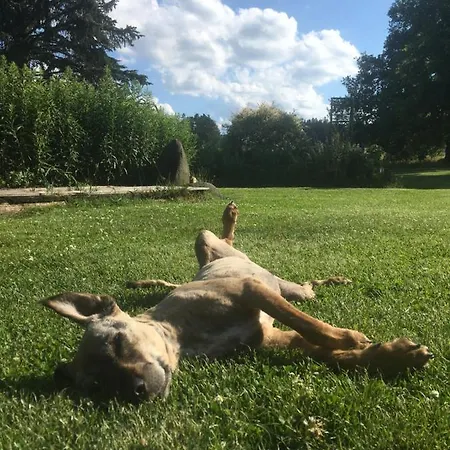 Mit Terrasse Und Garten * Ober-Lembach