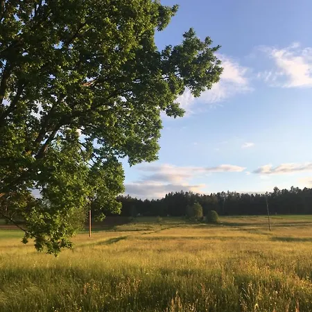 Mit Terrasse Und Garten Lejlighed *
