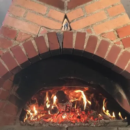 Mit Terrasse Und Garten