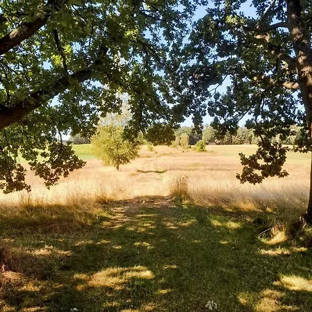 Einzigartige Mit 3 Und 2 Schlafzimmern Apartment *