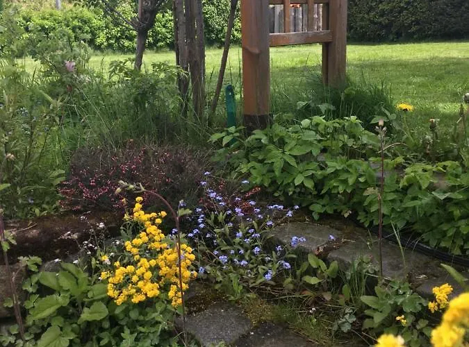 Apartment Mit Terrasse Und Garten *