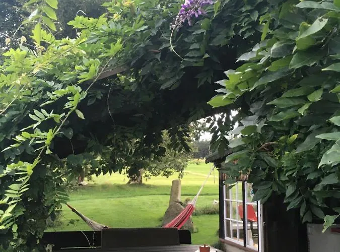 Mit Terrasse Und Garten *