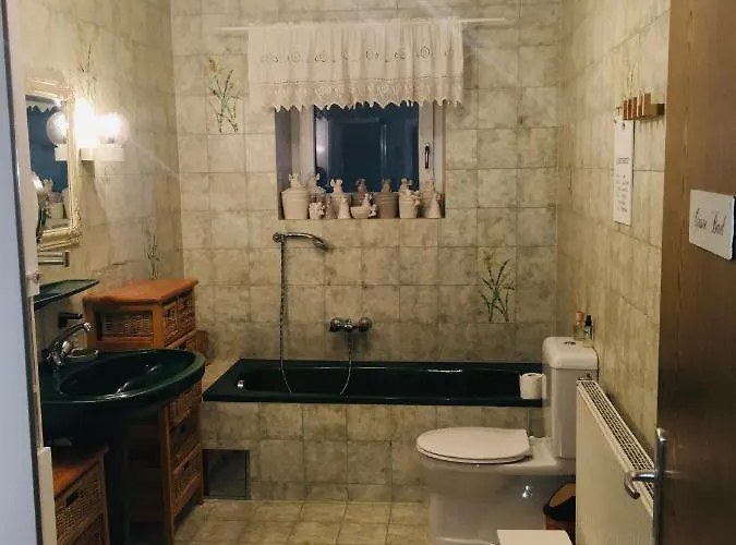 Mit Terrasse Und Garten Apartment Ober-Lembach