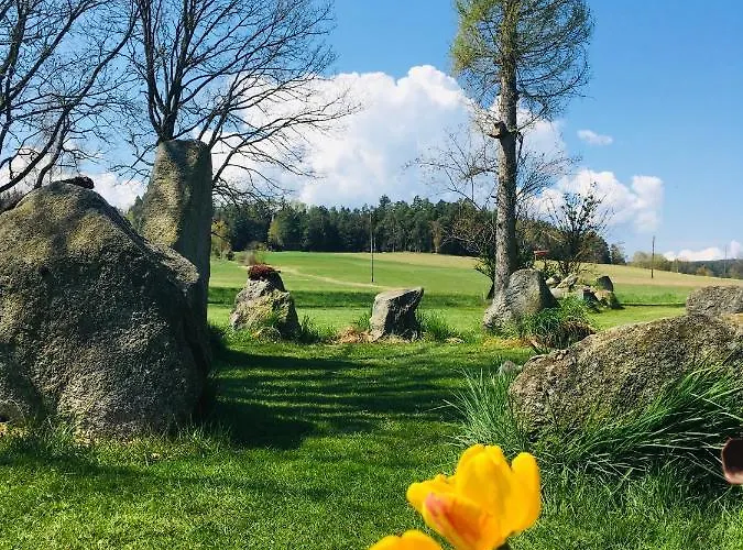 Apartment Mit Terrasse Und Garten *