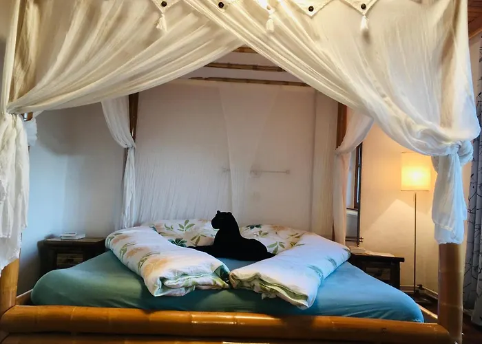 Apartment Mit Terrasse Und Garten