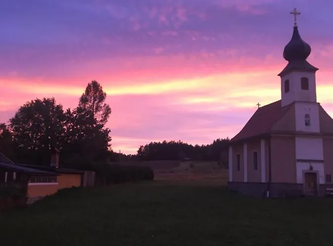 Mit Terrasse Und Garten