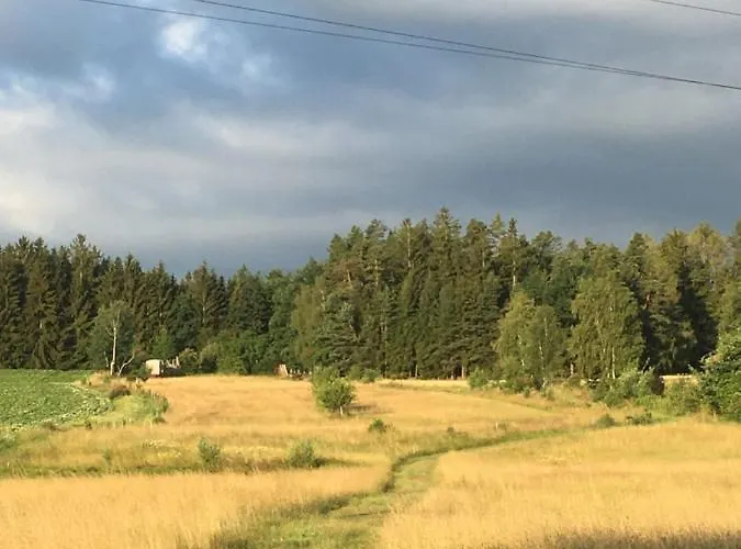 Mit Terrasse Und Garten Apartment *