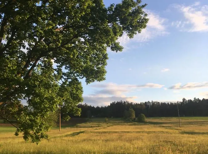 Mit Terrasse Und Garten Apartment *